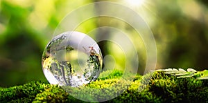 globe glass on grass with sunshine. environment concept