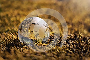 globe glass on grass with sunshine. environment concept