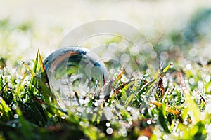 globe glass on green grass with sunshine. eco environment concept