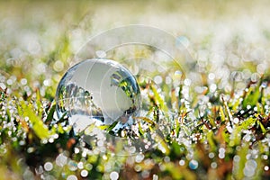 globe glass on green grass with sunshine. eco environment concept