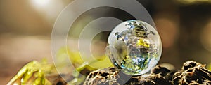 globe glass on rock with sunshine. environment concept