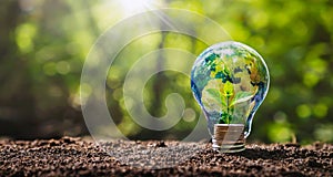 globe on light bulb with small tree growing on money. concept business energy in nature on the world. Elements of this image