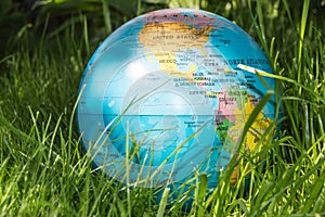 The globe model of the Earth in green grass showing ECO concept, protecting the world from pandemics, summer, outdoor