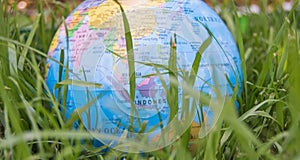 The globe model of the Earth in green grass showing ECO concept, protecting the world from pandemics, summer, outdoor