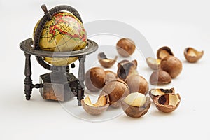 Globe model and ripe macadamia nuts closeup. Small Depth of Field