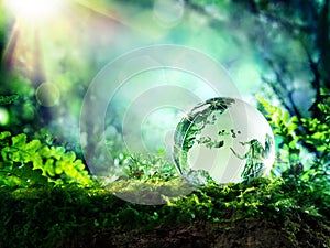Globe on moss in a forest - Europe