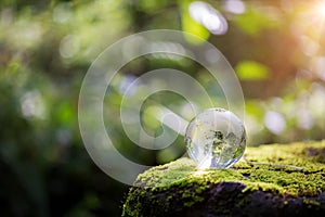 Globe planet glass In green forest with bokeh nature lights. world environment day. concept for environment conservation, protect