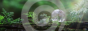 Globe planet glass in green forest with bokeh nature lights. world environment day. concept of environment conservation, protect