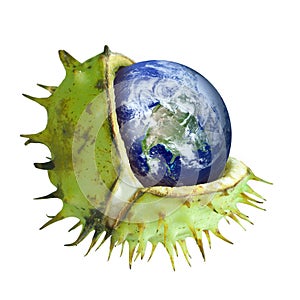 Globe protected in the shell of a chestnut, symbol of environmental protection