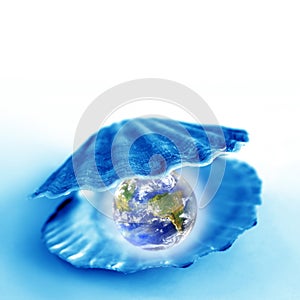 Globe in a shell