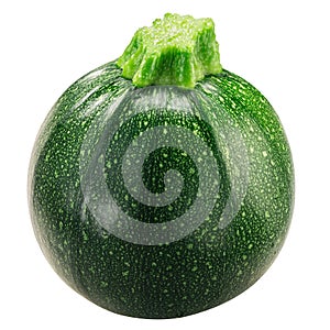 Globe striped  Zucchini Cucurbita pepo fruit,  isolated