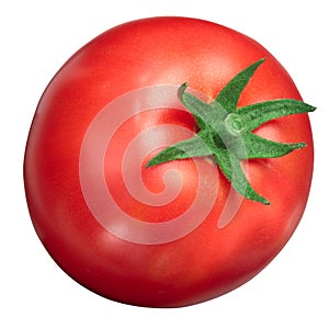 Globe tomato s. lycopersicum, paths