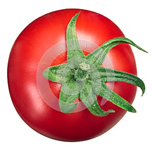 Globe tomato top view, calyx up photo