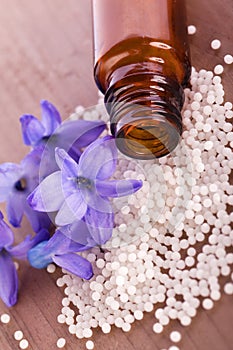 Globule with hyacinth flower