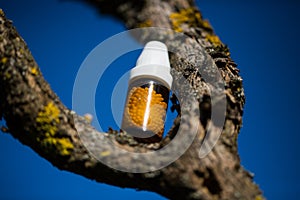 Globuli bottle on tree