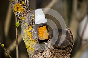 Globuli bottle on tree