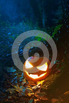 Glooming halloween lantern in the forest