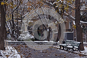 Gloomy autumn day and the first snow in a city square. Odessa. Ukraine.