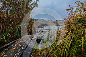 Gloomy autumn day, photo of a forest lake with a calm surface of the water