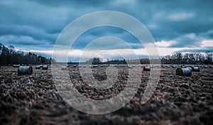 Gloomy landscape on a field with rolls of hay