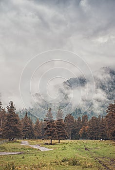 Gloomy landscape with mountains in clouds and forest