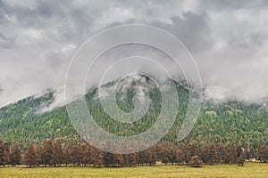 Gloomy landscape with mountains in clouds and forest