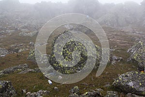 Gloomy mountain landscape. Fog in the mountains, the gloom comes down from the mountains. Mountain placer in the fog.