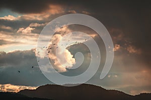 Gloomy sky with flying flock of birds over a mountain at sunset