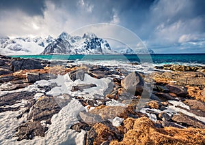 Gloomy spring view of Lofoten Islands. Melting snow on Flakstadpollen fjord.