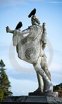 Gloomy statue of Eros with 2 sinister crows on the head. 2 black ravens on Eros statue convey bad feeling and rejection for love