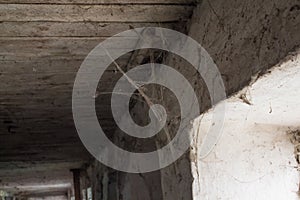 Gloomy window with cobwebs in an abandoned house. Old web on the window and in the corners. Creepy atmosphere, darkness