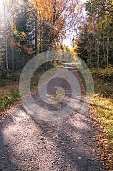 Glorious autumn day in Scandinavia in Sweden