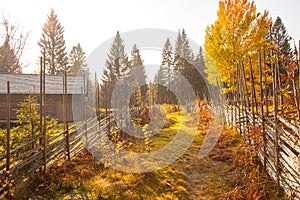 Glorious autumn day in Scandinavia in Sweden