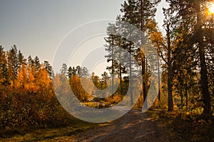 Glorious autumn day in Scandinavia in Sweden