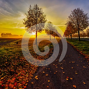 Glorious autumn sunrise over an alley with a dramatic sky and a cycle path with foliage