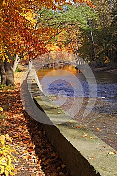 Glorious Fall Colors by Water