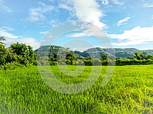 Glorious farm and beautiful morning mountains