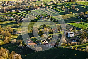 Glorious sunrise over grassy spring rural landscape