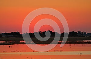 GLORIOUS SUNSET AFTERGLOW ON THE CHOBE RIVER