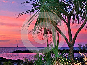 Glorious tropical sunset through a Palm tree of the Nightcliff foreshore. Darwin, NT Australia.