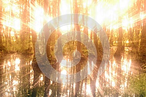 Glory to be god on high