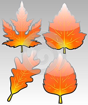 Glossy autumn leafs vector