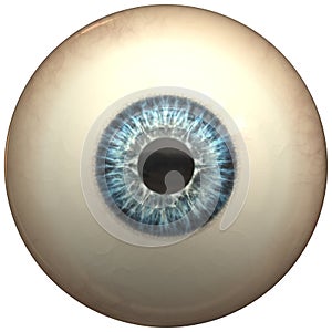 Glossy blue eye ball