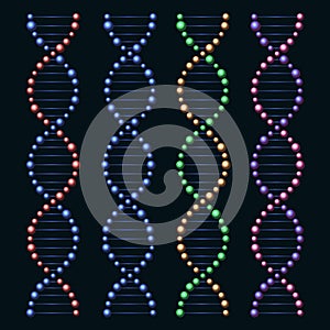 Glossy DNA Genome Molecules Set. Vector