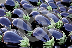 Glossy Eggplant