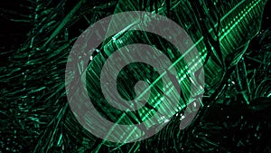 Emerald tropical leaf pattern