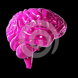 Glossy pink brain