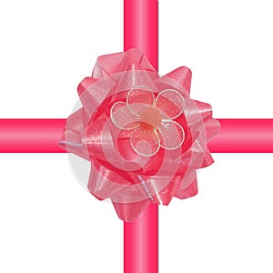 Glossy pink gift ribbon