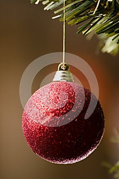Glossy Red Christmas decoration hanging on Christmas tree