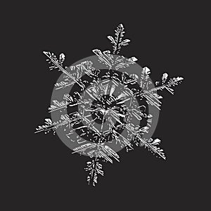 Glossy snowflake on black background